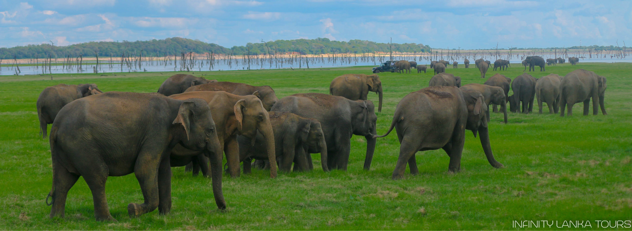 Infinity Lanka Tours